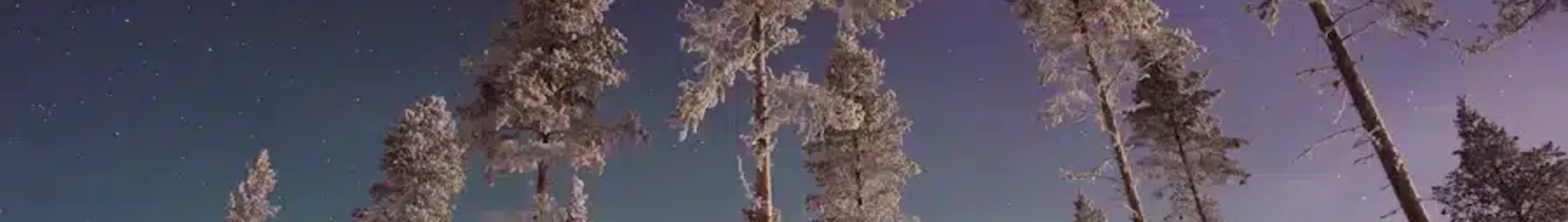 Gallivare Lapland : наемане на частен самолет