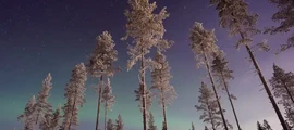 Byholma: частен самолет под наем