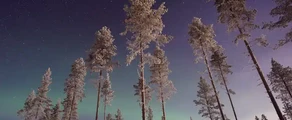 Gallivare Lapland : наемане на частен самолет