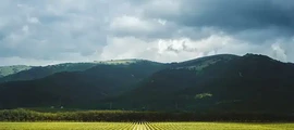 Magadan Sokol : частен самолет под наем