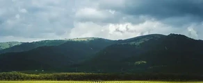 Геленджик : наем на частен самолет