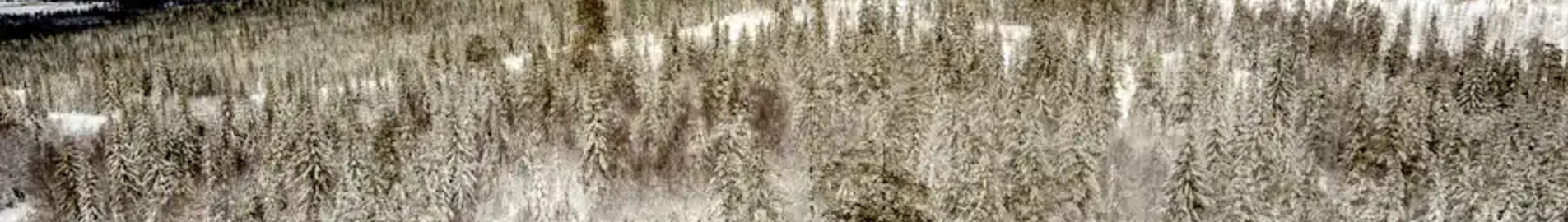 Hagfors : наемане на частен самолет
