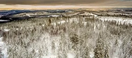 Каликсфорс : частен самолет под наем