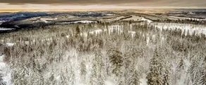 Hagfors : наемане на частен самолет