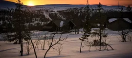 Arvika : наем на частен самолет
