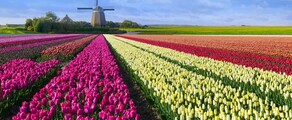 Hoogeveen: местоположение на частен самолет