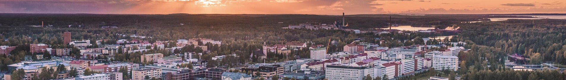 Каяни : частен самолет под наем 