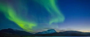 Каликсфорс : частен самолет под наем