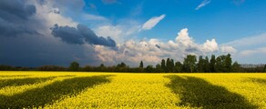 Хмелницки : частен самолет под наем