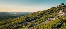 Вакшьо Ураса : частен самолет под наем