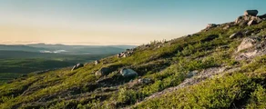 Кируна : частен самолет под наем