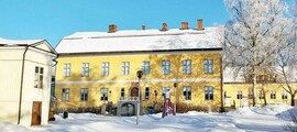 Alajarvi Menkijarvi : частен самолет под наем 