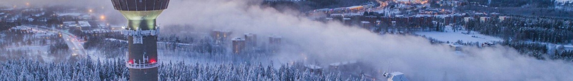 Куопио : частен самолет под наем 