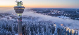 Forssa Rayskala: частен самолет под наем 