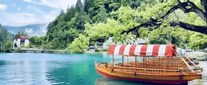 Lesce Bled: частен самолет под наем