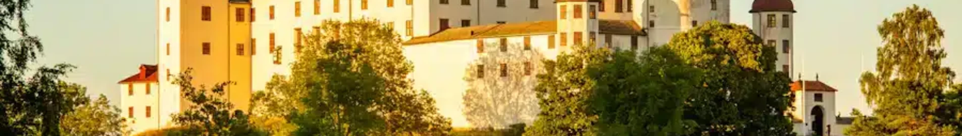 Lidkoping : частен самолет под наем