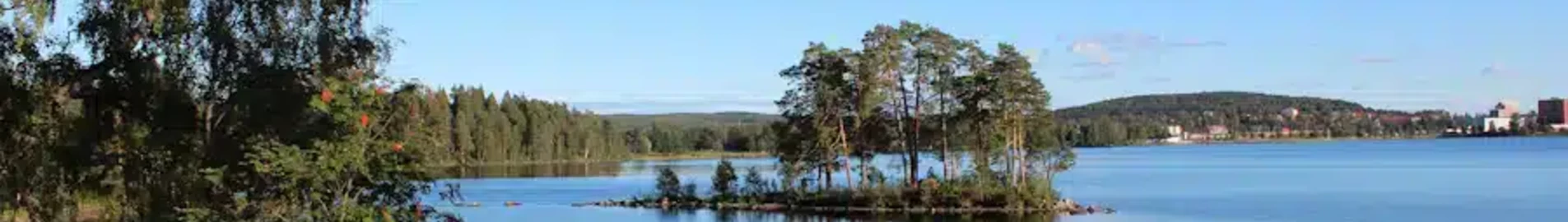 Ludvika: частен самолет под наем