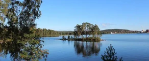 Ludvika: частен самолет под наем