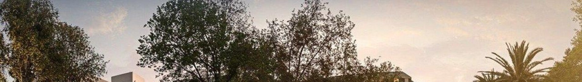 Маслоу: частен самолет под наем 