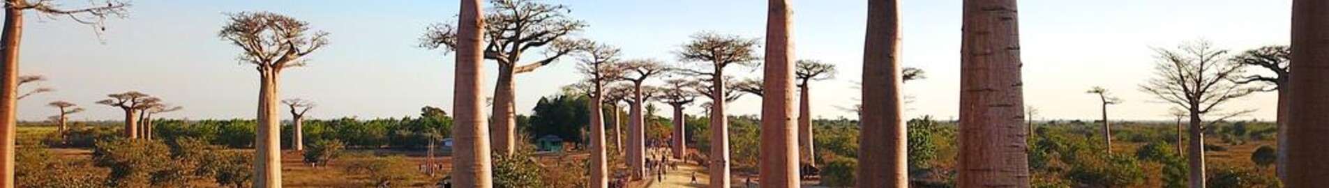 Morondava : частен самолет под наем