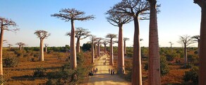 Morondava : частен самолет под наем