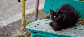 Владикавказ Беслан : частен самолет под наем