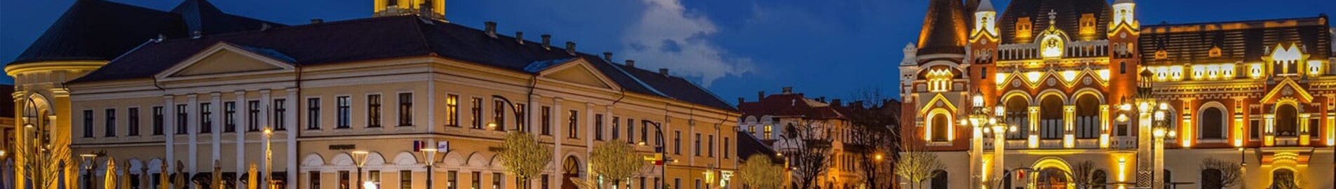 Орадя : частен самолет под наем 