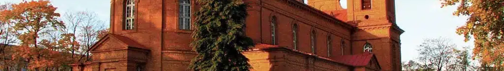 Panevezys Pajuostis : частен самолет под наем 