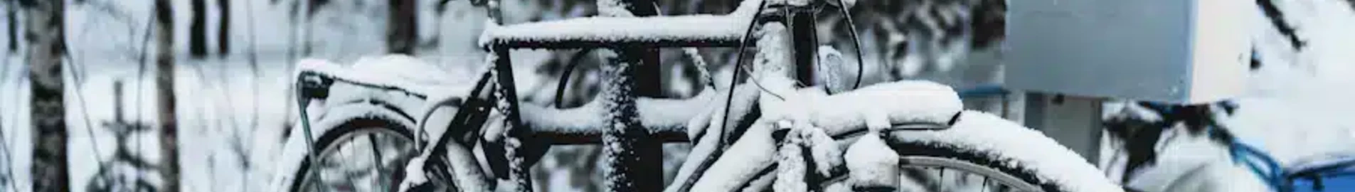 Lulea Kallax : частен самолет под наем