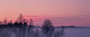 Pitea : наемане на частен самолет