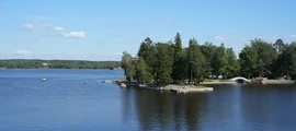 Брянск : частен самолет под наем