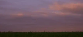 Киев Жуляни : частен самолет под наем 