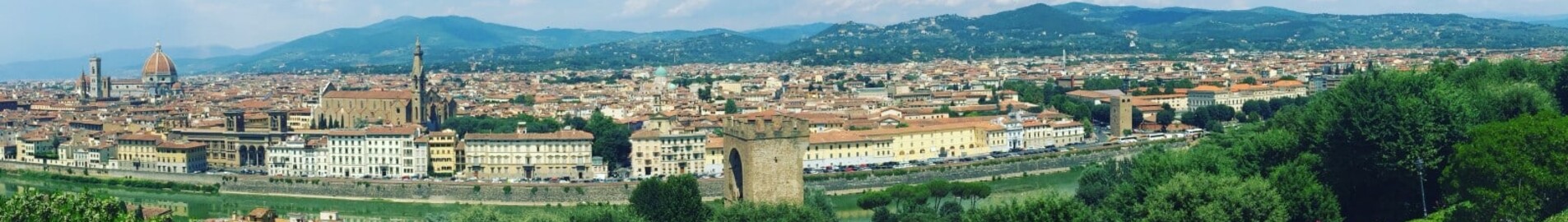 Pontedera : частен самолет под наем 