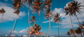Saint-Martin Grand-Case: частен самолет под наем 