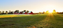 Linkoping City: частен самолет под наем