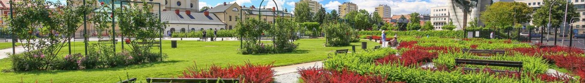 Rzeszow Jasionka : частен самолет под наем 