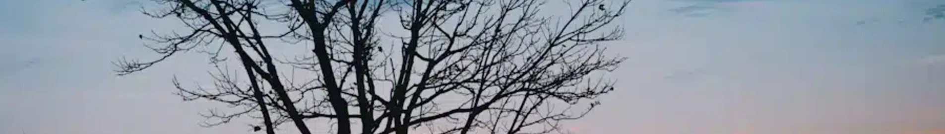 Saratov Tsentralny : частен самолет под наем