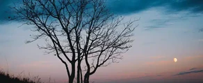 Saratov Tsentralny : частен самолет под наем