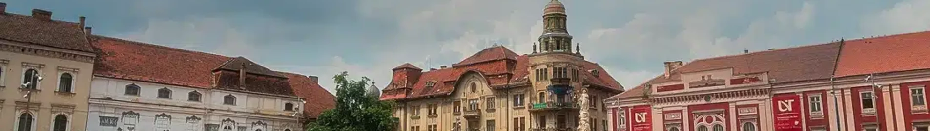 Сату Маре: частен самолет под наем