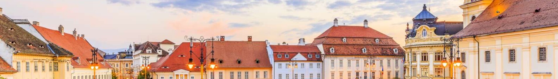 Sibiu Turnisor : частен самолет под наем