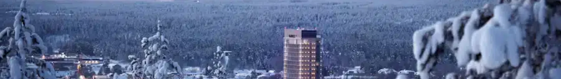 Skelleftea : частен самолет под наем