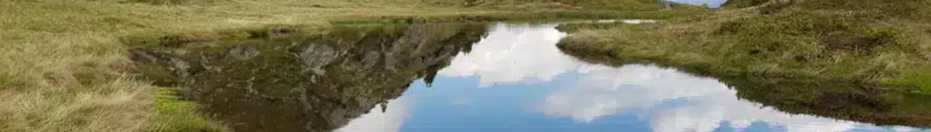 Санкт Йохан-Тирол : частен самолет под наем