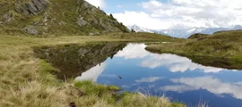Zeltweg : Наем на частен самолет