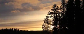 Stromsund Hallviken : частен самолет под наем