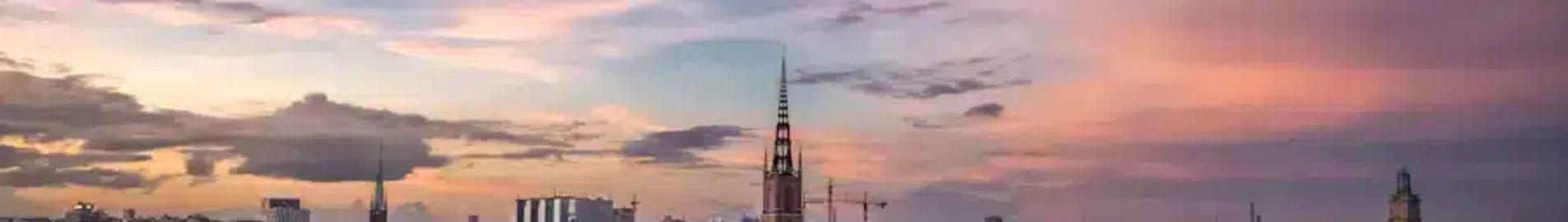 Швеция: наемане на частен самолет