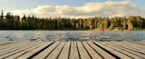 Sveg : частен самолет под наем