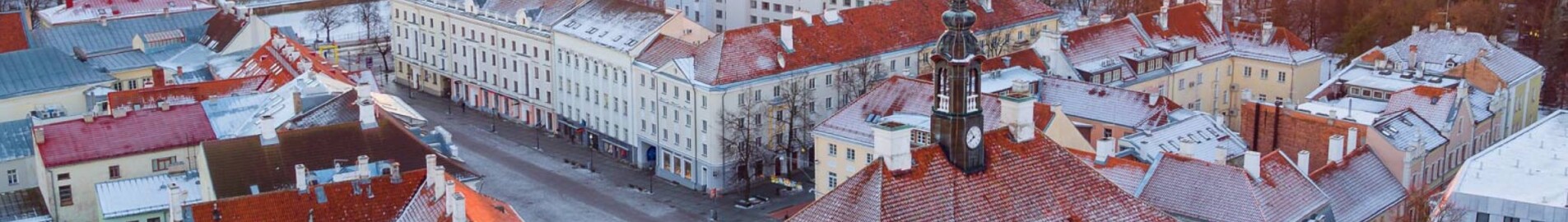 Тарту : наем на частен самолет 