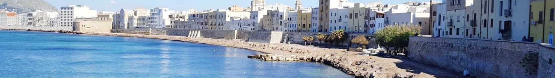 Trapani Birgi : частен самолет под наем 