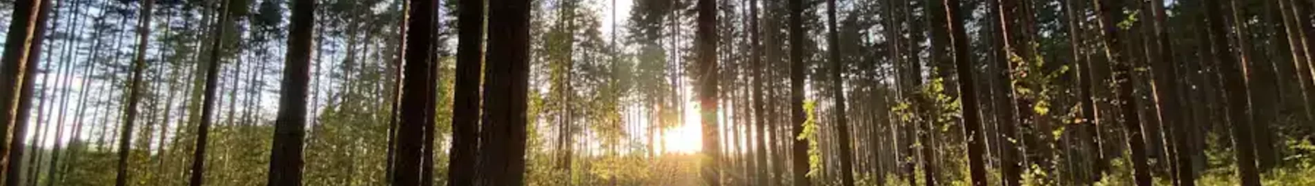 Tver Migalovo: частен самолет под наем