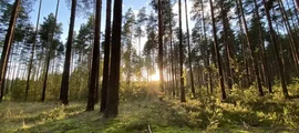 Москва Внуково: наем на частен самолет 